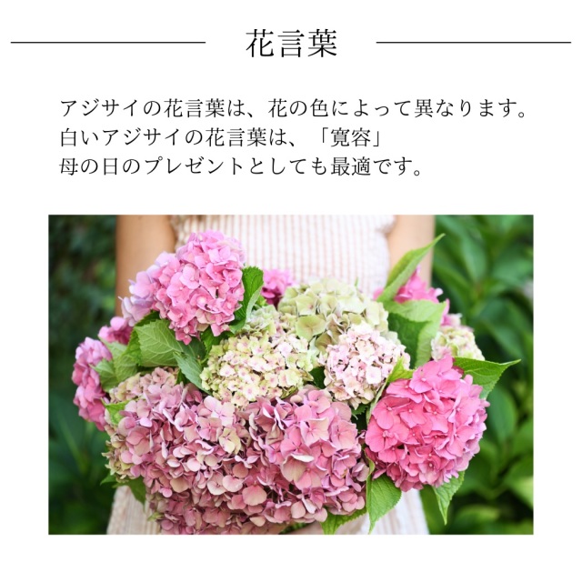 プロポーズフォーユー