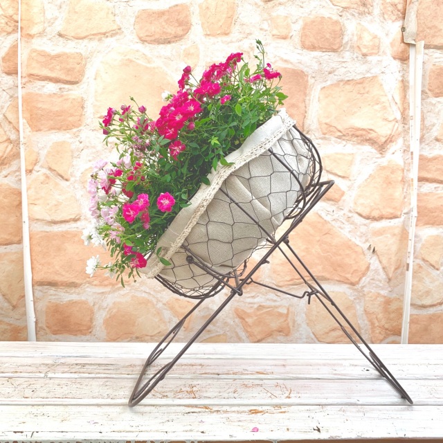 ウェルカムレンゲローズ