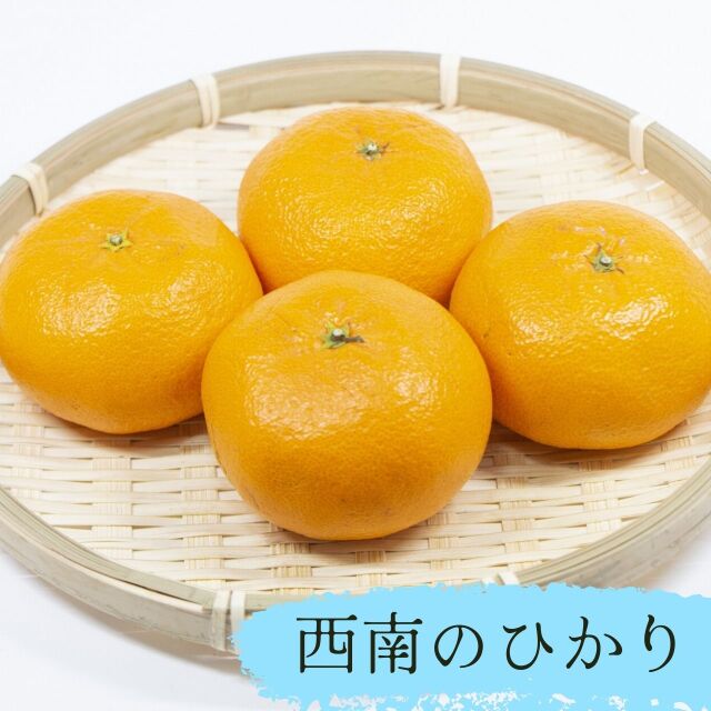 西南のひかり