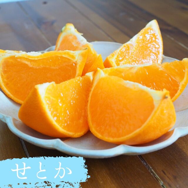せとか