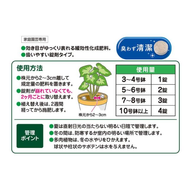 室内観葉の肥料説明2024