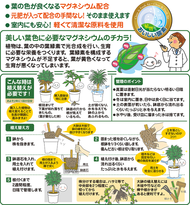 観葉植物の土の説明