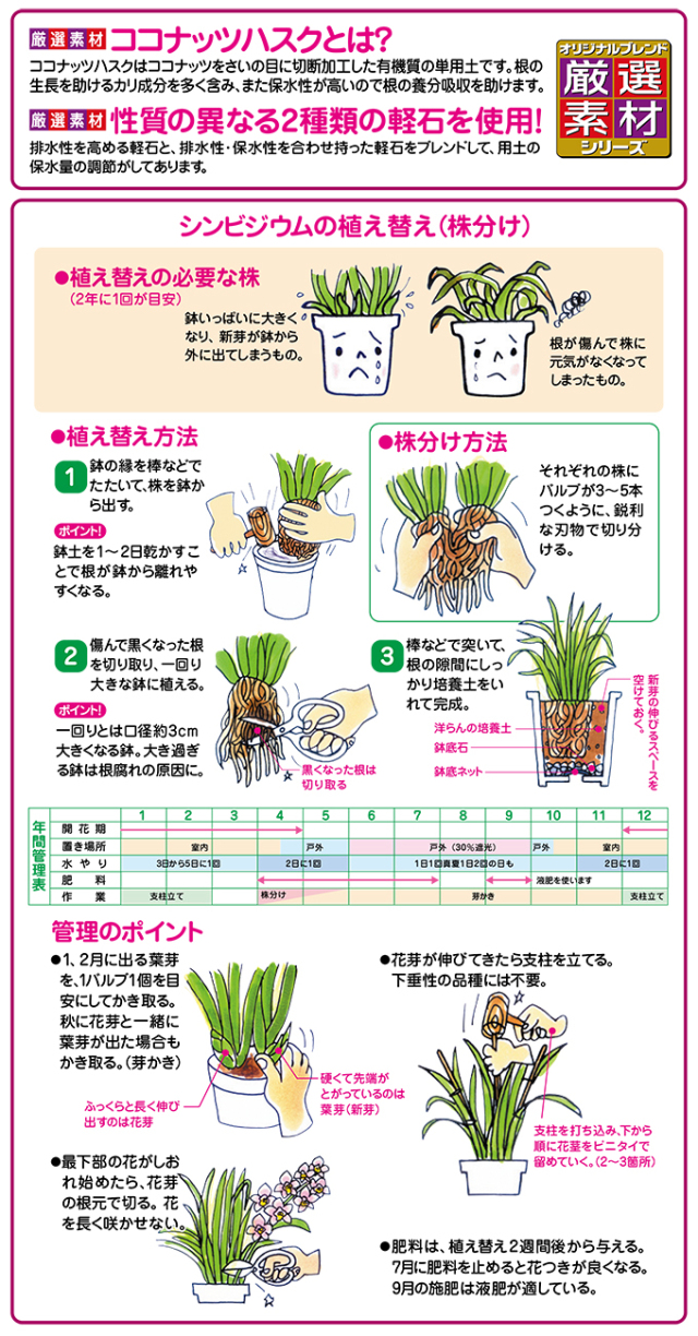 洋らんの培養土