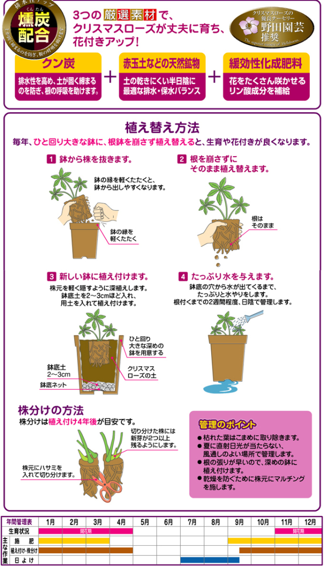 クリスマスローズの土の説明