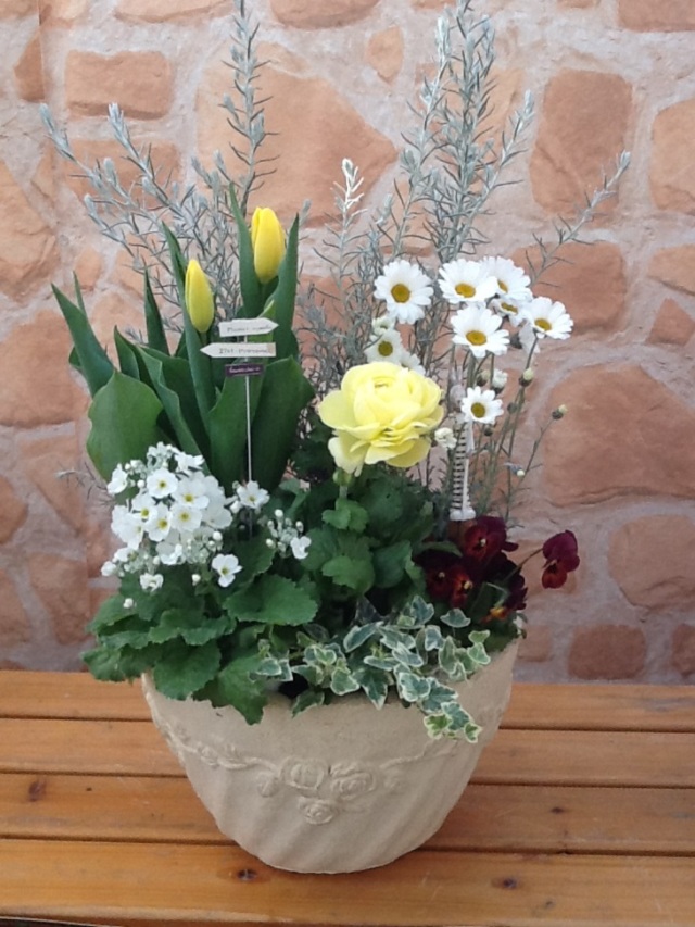 季節のおまかせテラコッタ寄せ植え