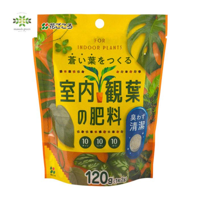 室内観葉の肥料
