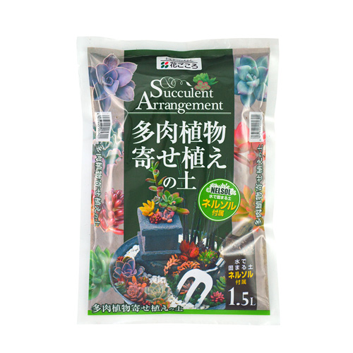 多肉植物寄せ植えの土