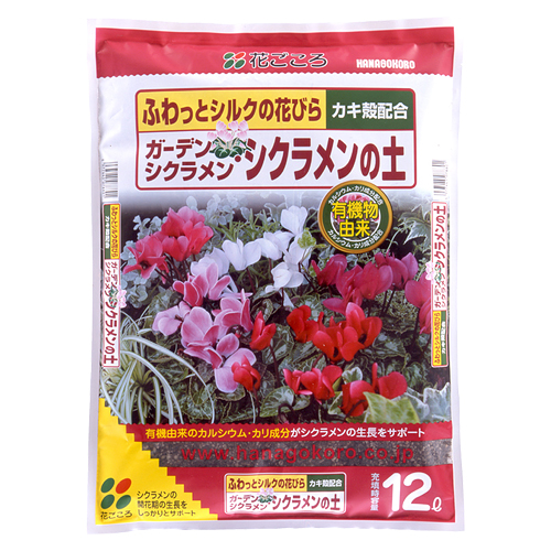 シクラメンの土