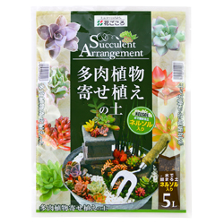 多肉植物寄せ植えの土