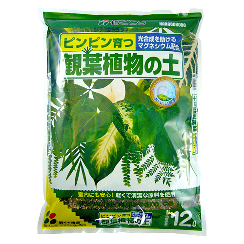 観葉植物の土