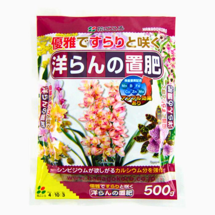 洋らんの置肥