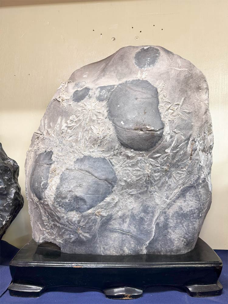 菊花石 台付き　【商品番号：m-kk042】