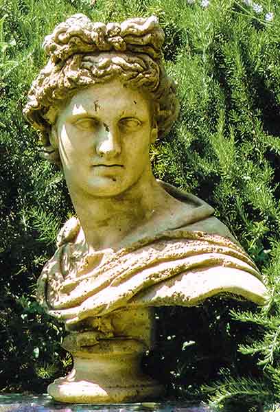 胸像　アポロ　クラシック