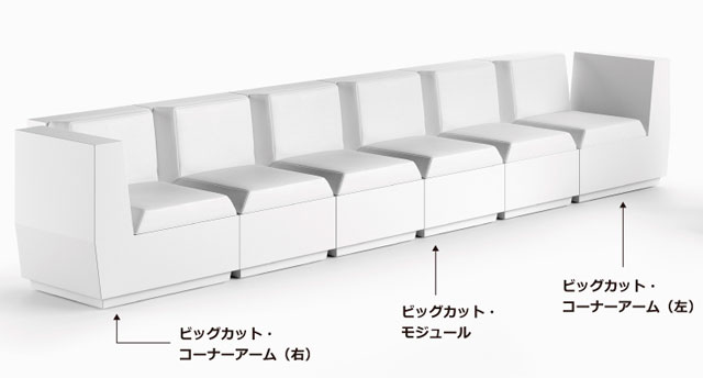 ビッグ　カット