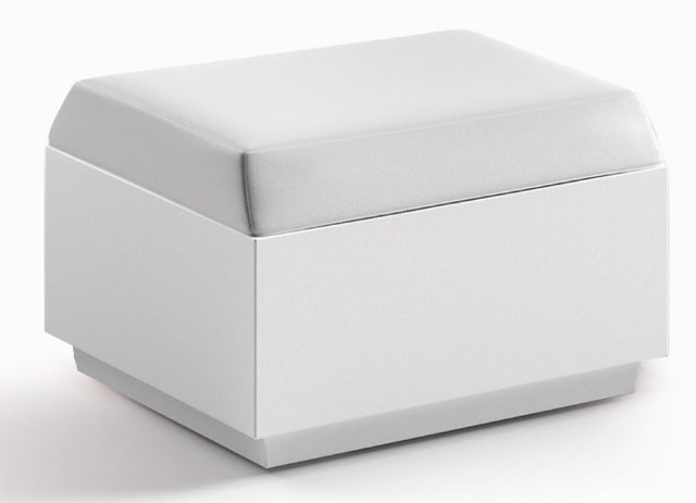 ビッグ　カット