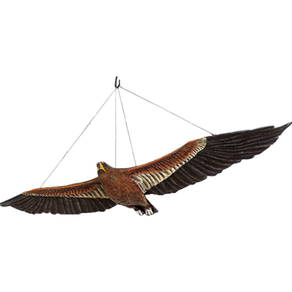 ワシ 鷹 オブジェ