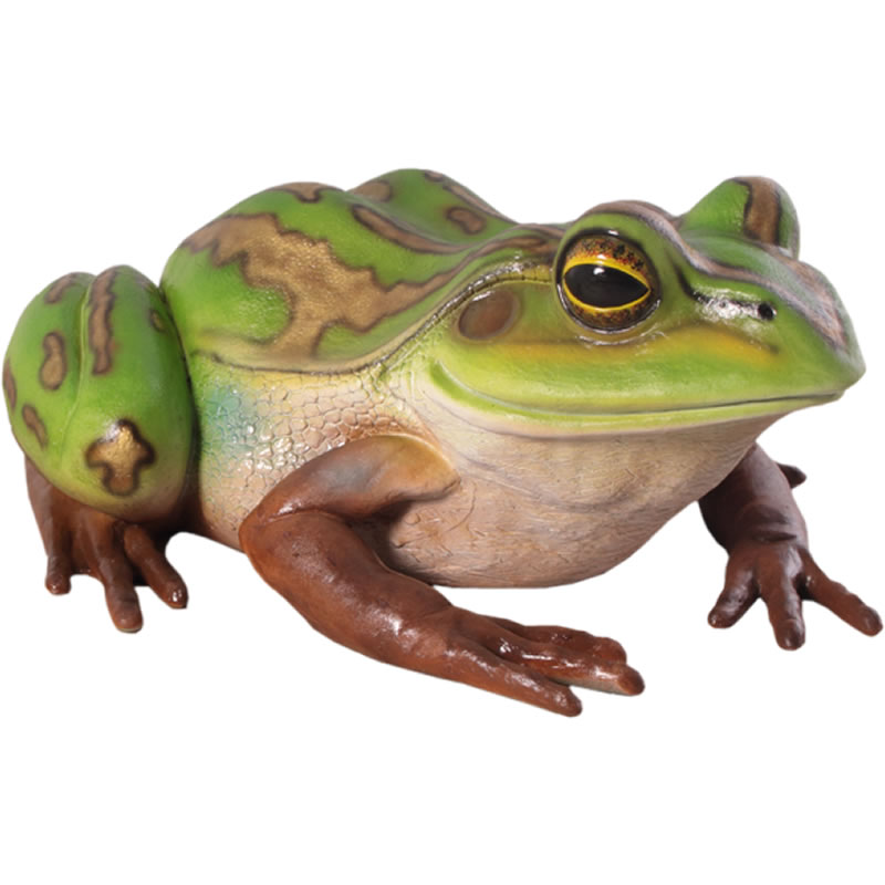 キンスジアメガエル オブジェ