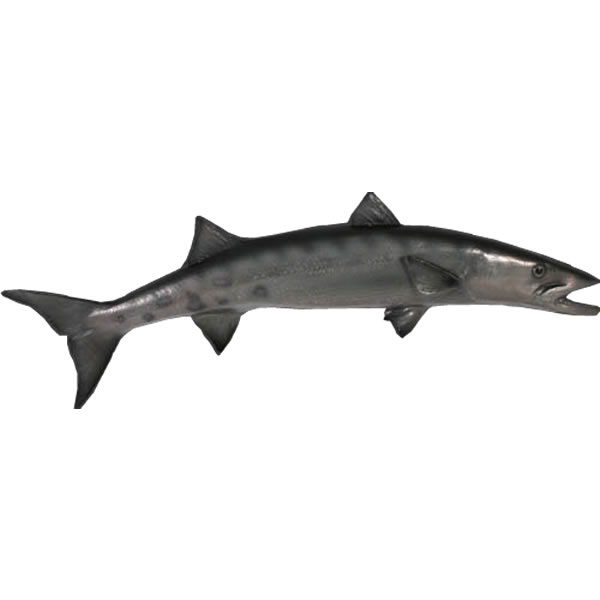 バラクーダ オブジェ オニカマス