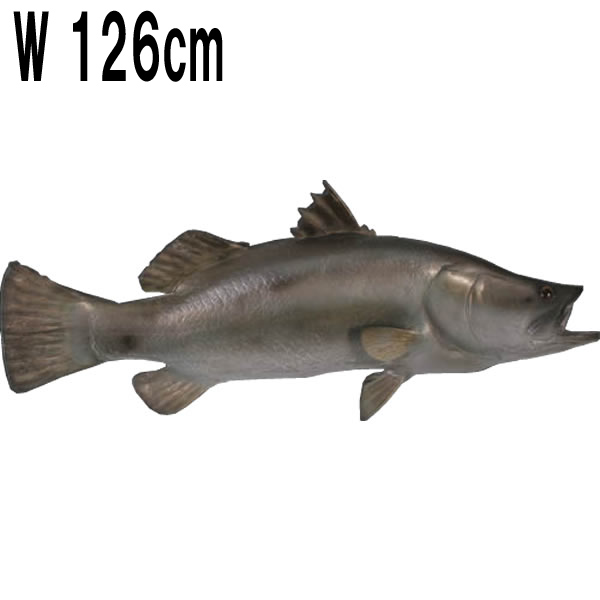 バラマンディ / Barramundi  FRPアートオブジェ 【商品番号：m-fr100102】