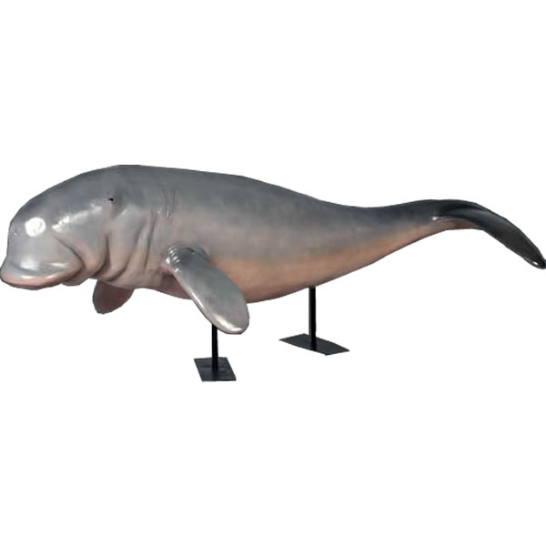 ジュゴン オブジェ