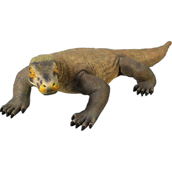 コモドドラゴン 動物 恐竜 爬虫類 オブジェ