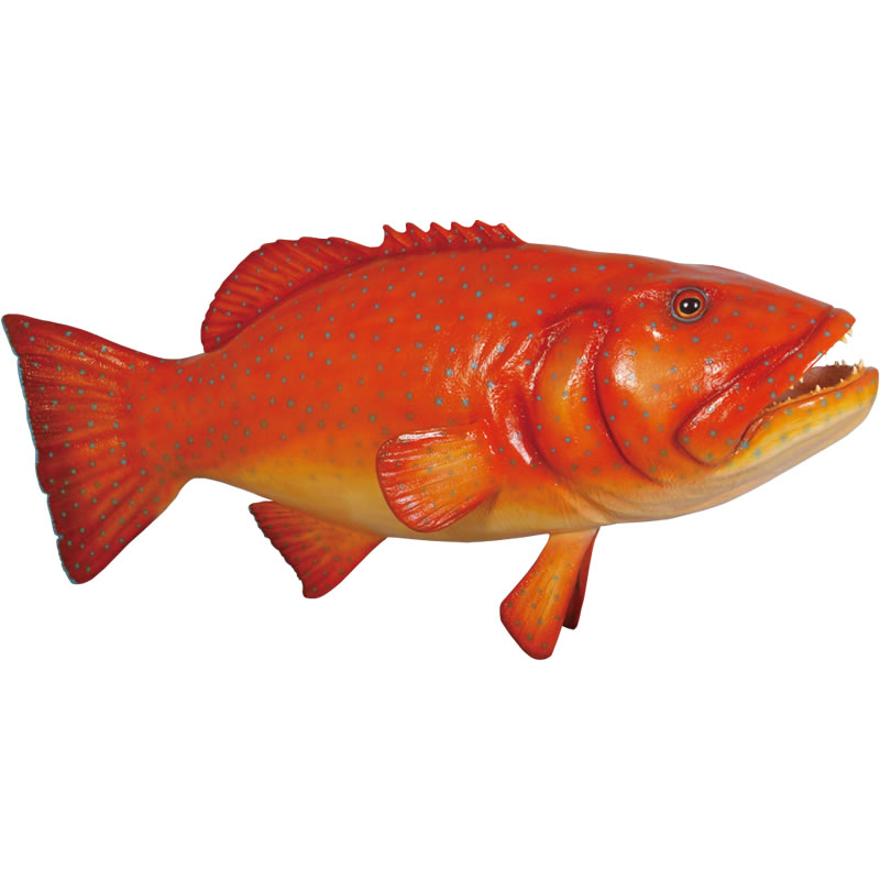 コーラルトラウト オブジェ