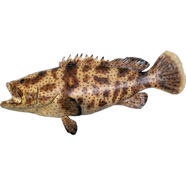 ヤイトハタ オブジェ ニセヒトミハタ