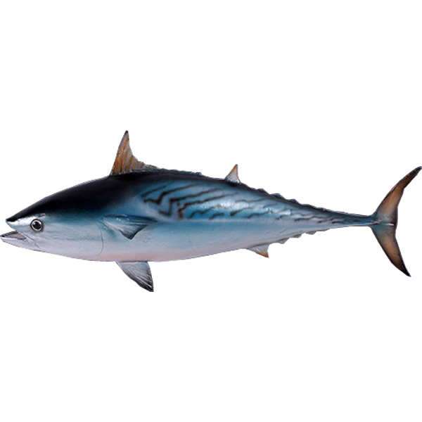 スマガツオ オブジェ