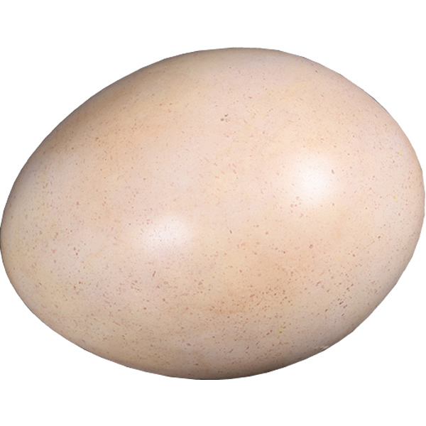 恐竜 化石 卵 タマゴ オブジェ