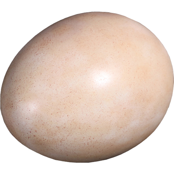 恐竜 化石 卵 タマゴ オブジェ