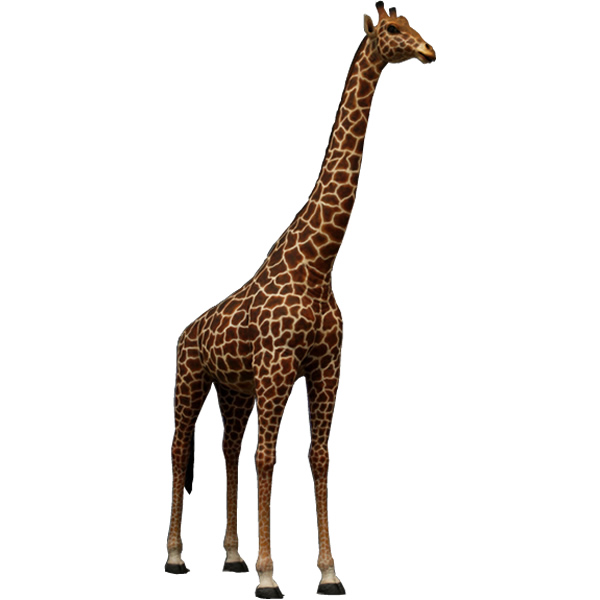 キリン オブジェ