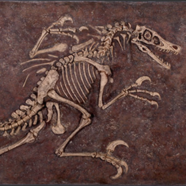 ヴェロキラプトル 恐竜 化石 壁面 オブジェ パネル