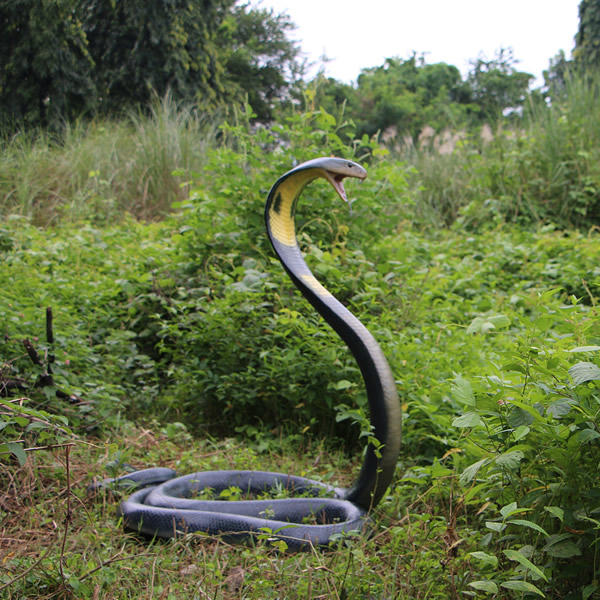 コブラ オブジェ