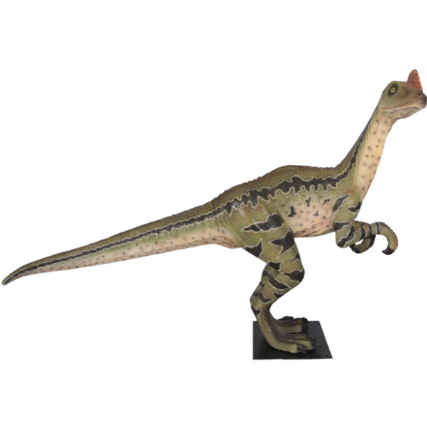 ディロング・パラドクサス 恐竜 オブジェ