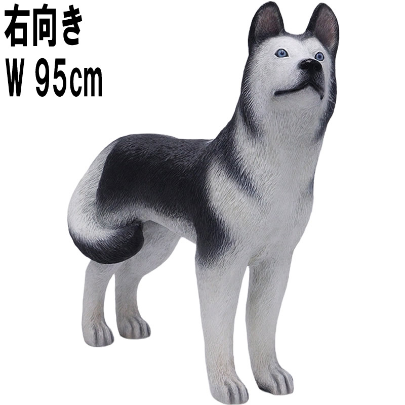 ハスキー犬 右向き / Husky - Looking Right  FRPアートオブジェ 【商品番号：m-fr180171R】