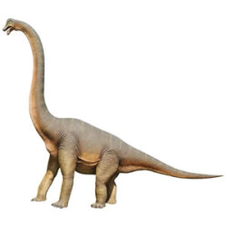 立ち向かうブラキオサウルス Brachiosaurus FRP恐竜オブジェ