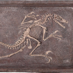 ヴェロキラプトル 恐竜 化石 壁面 オブジェ パネル