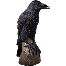 巨大カラス Giant Mystic Night Raven FRPアートオブジェ【商品番号：m