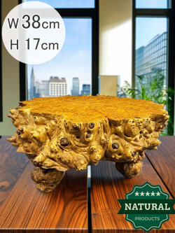 天然木 瘤（こぶ） 飾り台 花台 盆栽台 アウトレット 展示品