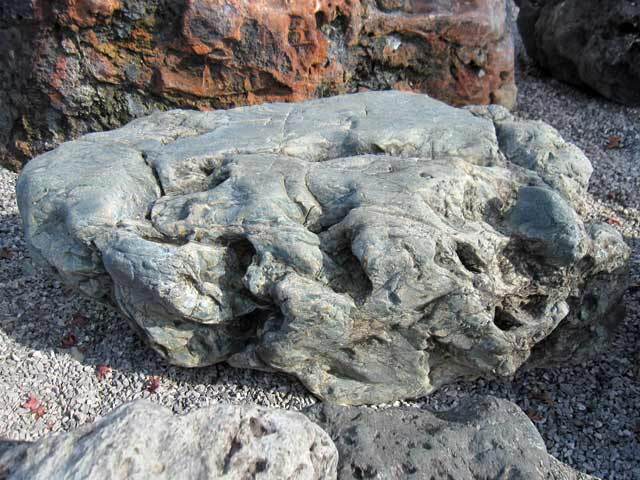 幸太郎石 庭石 銘石 北海道 3.2尺 景石 天然石 幸を呼ぶ石 縁起石