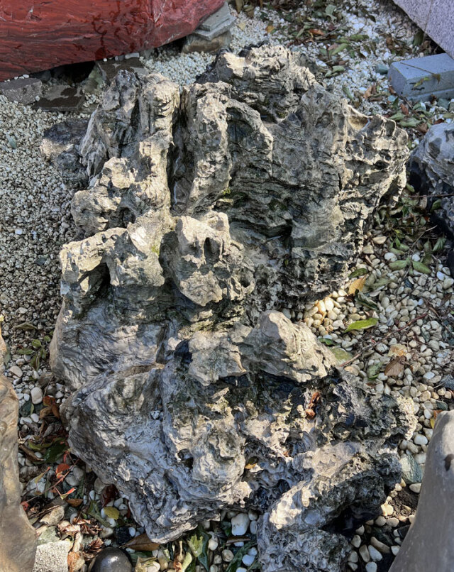 庭石