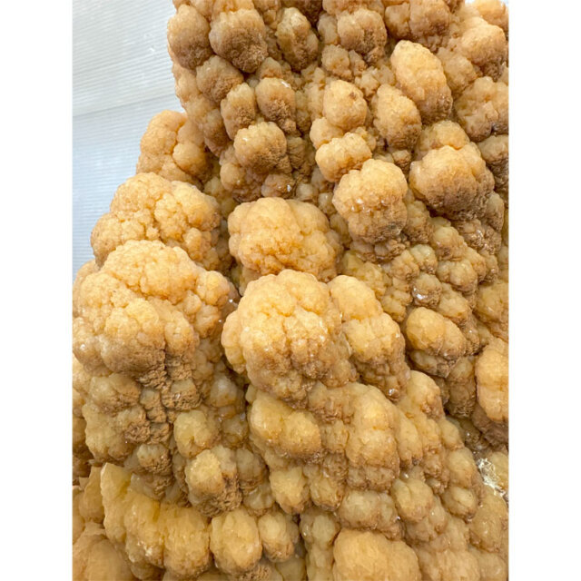 一点物・直接引取推奨】鍾乳石 33 銘石 飾り石 置物 インテリア 鍾乳洞