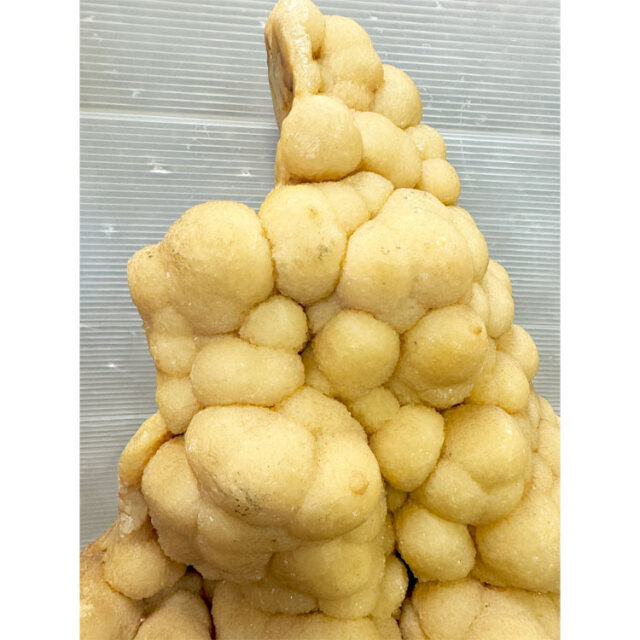 一点物・直接引取推奨】鍾乳石 35 銘石 飾り石 置物 インテリア 鍾乳洞