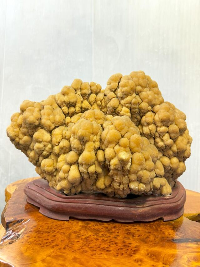 鍾乳石 販売・通販｜神秘の自然造形・一点物の景石・オブジェ [現物