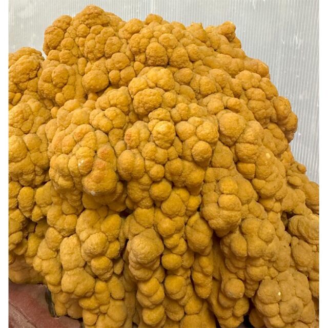 鍾乳石
