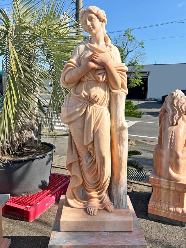 幻想的な輝石石と木台付き 超希少 コケ付 木化石 Amazon.co.jp: 青森県産 津軽錦石 珪化木 木化石