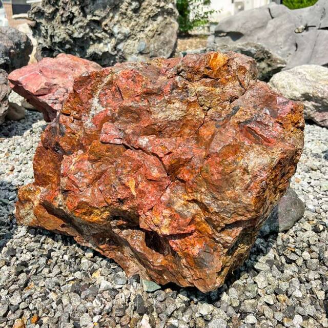 津軽錦石（青森県産）銘石 庭石 58cmサイズ 碧玉 ジャスパー 添石 役石