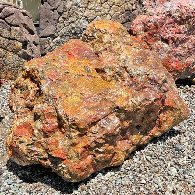 庭石 ★城引取限定★ 津軽錦石（青森県産）銘石 庭石 景石 1mサイズ 碧玉 ジャスパー 坪庭