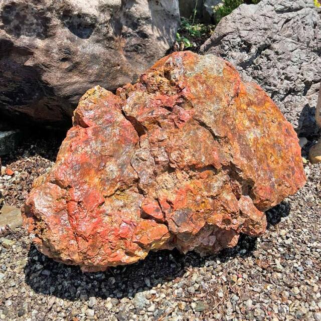 津軽錦石（青森県産）銘石 庭石 景石 110cmサイズ 碧玉 ジャスパー 坪