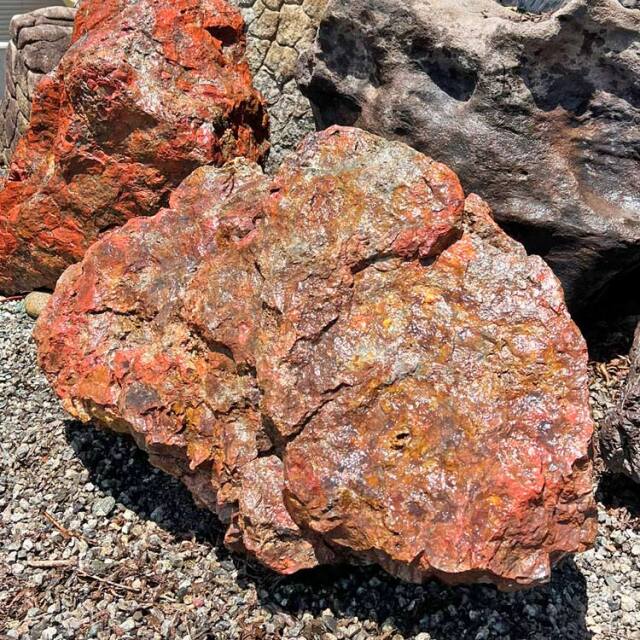 津軽錦石（青森県産）銘石 庭石 景石 110cmサイズ 碧玉 ジャスパー 坪